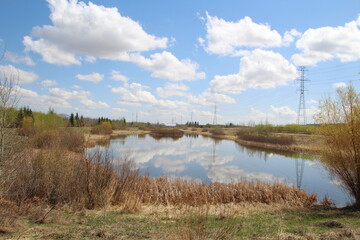 Spring Day On The Calm Water, Pylypow Wetlands, Edmonton, Alberta