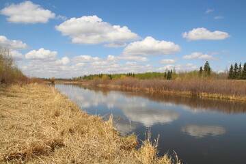May Calm On The Land, Pylypow Wetlands, Edmonton, Alberta