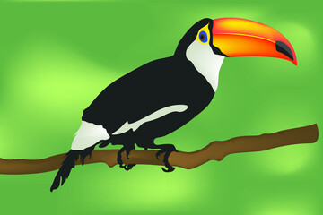 Naklejka premium toucan bird on a branch of the year 