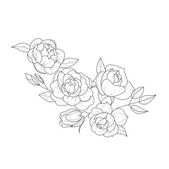 Sketch floral botany collection. Black and white bouquet, linear art on a white background. Hand drawing of a flower. Botanical illustrations. Vector.