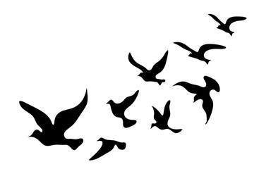 Silhouettes of groups of  birds on white