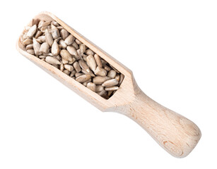 peeled sunflower seeds in wooden scoop cutout