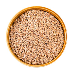 husked Spelt wheat grains in round ceramic bowl