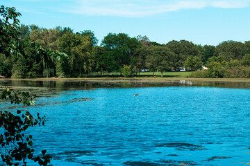 The pond in Riverside Parking in Grand Rapids Michigan