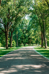 Walking path in a park in Grand Rapids Michigan