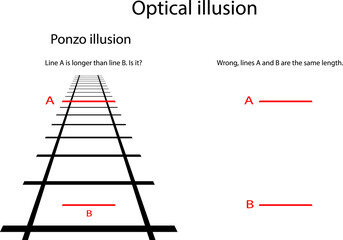 This illusion makes us think that two red lines are not equal in length. Despite the fact that the two red lines are equal in length.