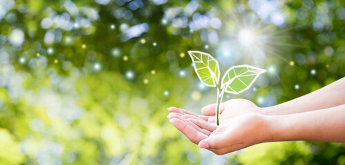 Earth Day environmental protection is in the hands of a tree that is planted as a graphic.Green background, bokeh, tree on the grassland, nature, forest cons.Hand holding globe.