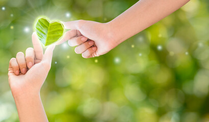 Hands holding green heart shaped tree, planting trees, loving the environment, protecting nature Nourishing the plants World Environment Day To help the world look beautiful, Forest conservation 