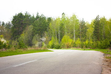A beautiful forest road. A winding asphalted road without cars in a wood among green trees on a spring day. Car travel concept. Exploring nearby places, attractions, natural objects. Spring landscape.