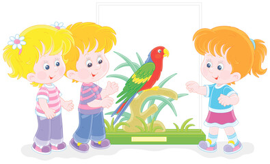 Happy little children walking at a zoological garden and watching a funny tropical parrot with bright colorful plumage and a long tail, vector cartoon illustration isolated on white