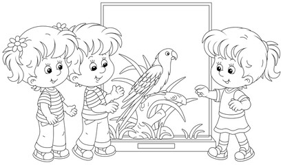 Happy little kids walking at a zoological garden and watching a funny tropical parrot with bright plumage and a long tail, black and white outline vector cartoon illustration for a coloring book