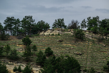 mountain cliff over green pine forest during cloudy day, Kislovodsk city, caucasus mountains, Russia
