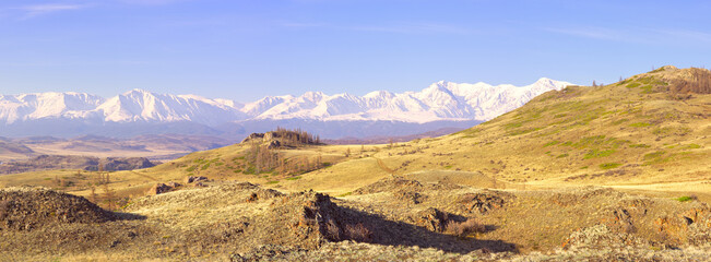 The North-Chui range in the Altai Mountains. Rocks and dry grass on the mountainside, snow-capped mountains in the distance under a blue sky. Panorama of the pure nature of Siberia, Russia