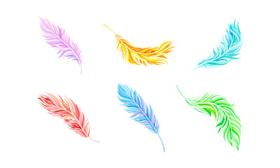 Colorful Bird Feathers as Avian Plumage Vector Set