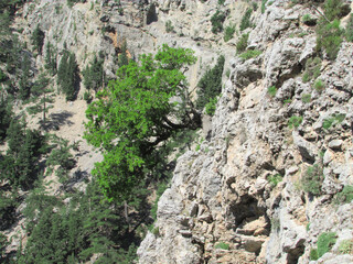 Kreta: Wandern in der Samaria-Schlucht - Der Abstieg beginnt
