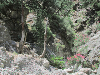 Kreta: Wandern in der Samaria-Schlucht