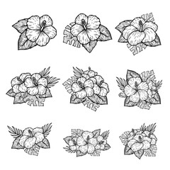 手描き風ハイビスカスとボタニカルリーフのトロピカルセット