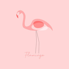 Pink Flamingo Illustrative Decorative Vector