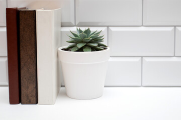 Shelf with books and succulent on white brick wall