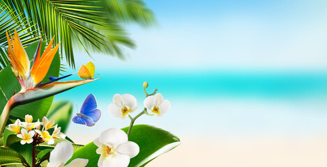 Fototapeta na wymiar Butterflies flying around tropical flowers plants and palm leaves on a blurry background of beach and ocean