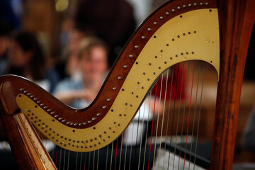 Basilica of Our Lady of Geneva. Concert. Harp.