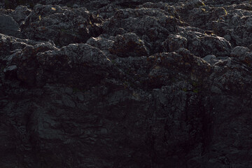 The rocky rock is large in size. Natural background