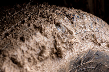 Car wheels in mud. Off road car dirty tire protector. Adventure travel concept background.