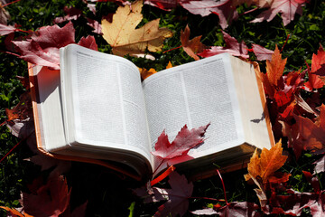 Naklejka na ściany i meble Open bible on a bench with dry fallen autumn red leaves. Faith and spirituality.