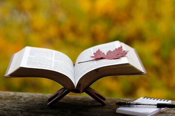 Open bible on a bench with  dry fallen autumn leaf. Faith and spirituality.