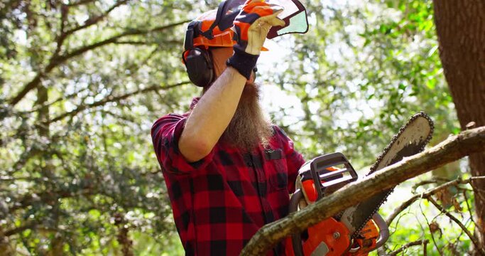 Portrait of a lumberjack logger worker in protective gear cutting firewood timber tree in forest with chainsaw
