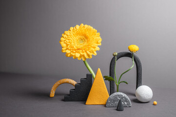 Modern composition with abstract objects and natural plants. Minimalistic geometric figures with shadows. Botanical still life with flowers, shapes. 2021 year trend colors - gray and yellow. - obrazy, fototapety, plakaty