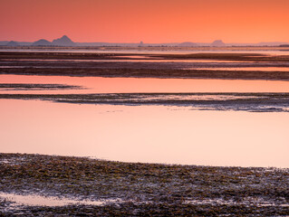 View of Glass House Mountains Across Tidal Flats in Morning Light