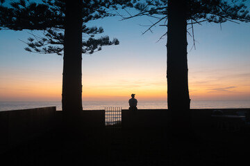 Fototapeta premium Silhouette of Man Sitting Under Trees Watching the Sunrise in a Sea Scape Background. Thinking Concept