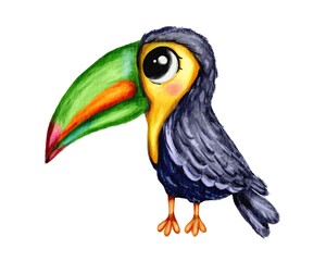 Hand drawn watercolor illustration of toucan tropical bird in cute  cartoon style, isolated on white. 