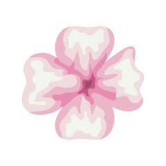 Isolated pink flower