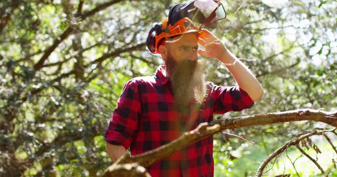 Lumberjack logger worker in protective gear taking a phone call while cutting firewood timber tree in forest with chainsaw