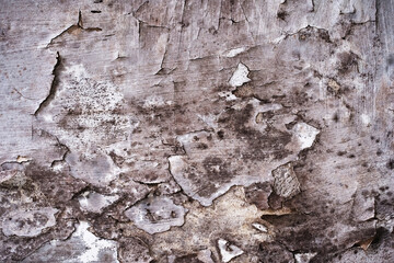The wall is infected with fungal bacteria. Peeling plaster in a damp room. Flat lay frame