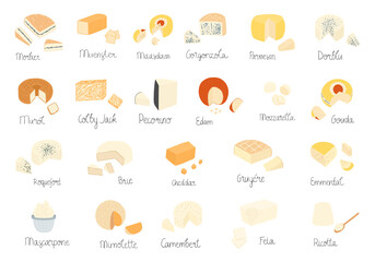 Big set of cheese illustrations. Different kinds - hard, soft, semi-soft, blue. Heads of cheese and parts. With inscriptions. Flat pretty design for menu, restaurant, shop.