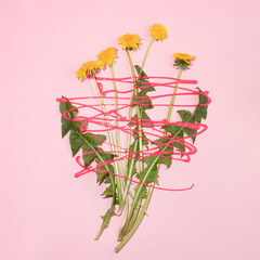 Dendelion flower with green leaves and acrylic paint sprinkle on pastel pink  background. Spring or summer aesthetic composition with copy space. Minimal flat lay.