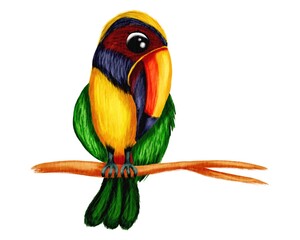 Hand drawn watercolor illustration of toucan tropical bird in cute  cartoon style, isolated on white. 
