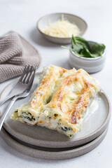 cannelloni with spinach and ricotta baked with b&eacute;chamel sauce and cheese in a ceramic bowl, selective focus