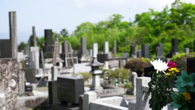 墓地　イメージ