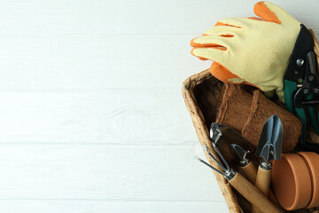 Concept of gardening on white wooden background