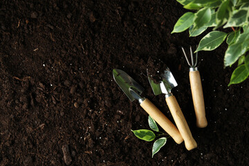 Concept of gardening on soil background, space for text
