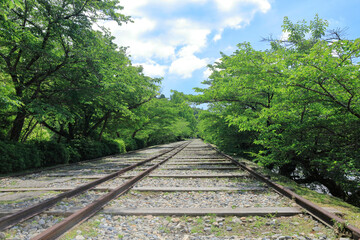 Obraz premium 蹴上インクライン 新緑 5月 初夏