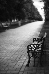 Wooden bench with forging handles in a spring alley. BW photo