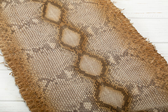 Brown dyed folded natural genuine python leather on the wooden table