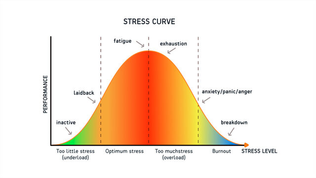 Stress Curve Level and Performance on White Background