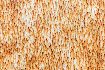 the painted sheet of metal rusted in the form of many small defects with rust stains