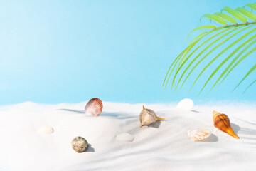 Obraz na płótnie Canvas Summer background with sand seashell and palm tree